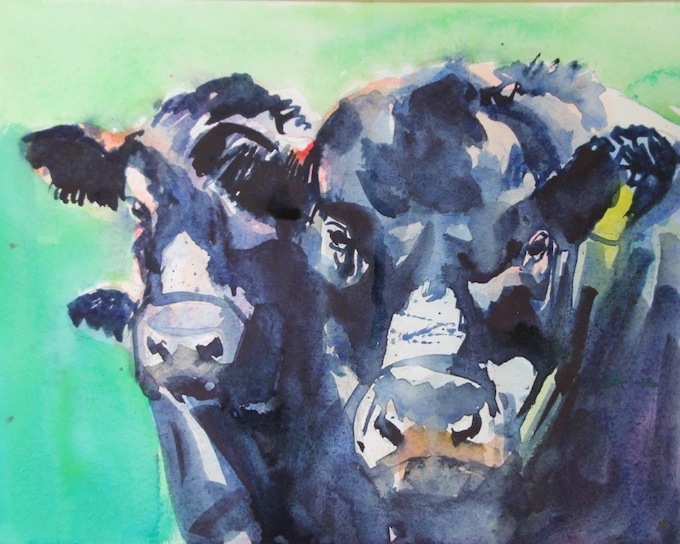 Jane McIntosh | Bull and Cows |  Green | watercolour    | McATamney Gallery and Design Store | Geraldine NZ